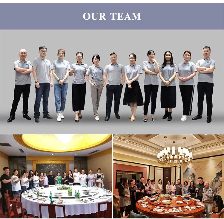 OUR TEAM